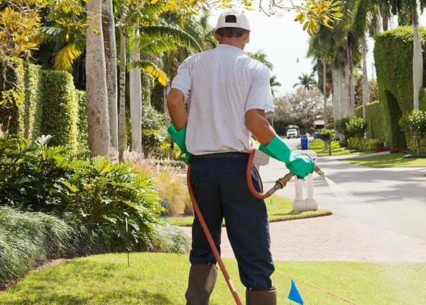 About Williamsburg IA Pest Control